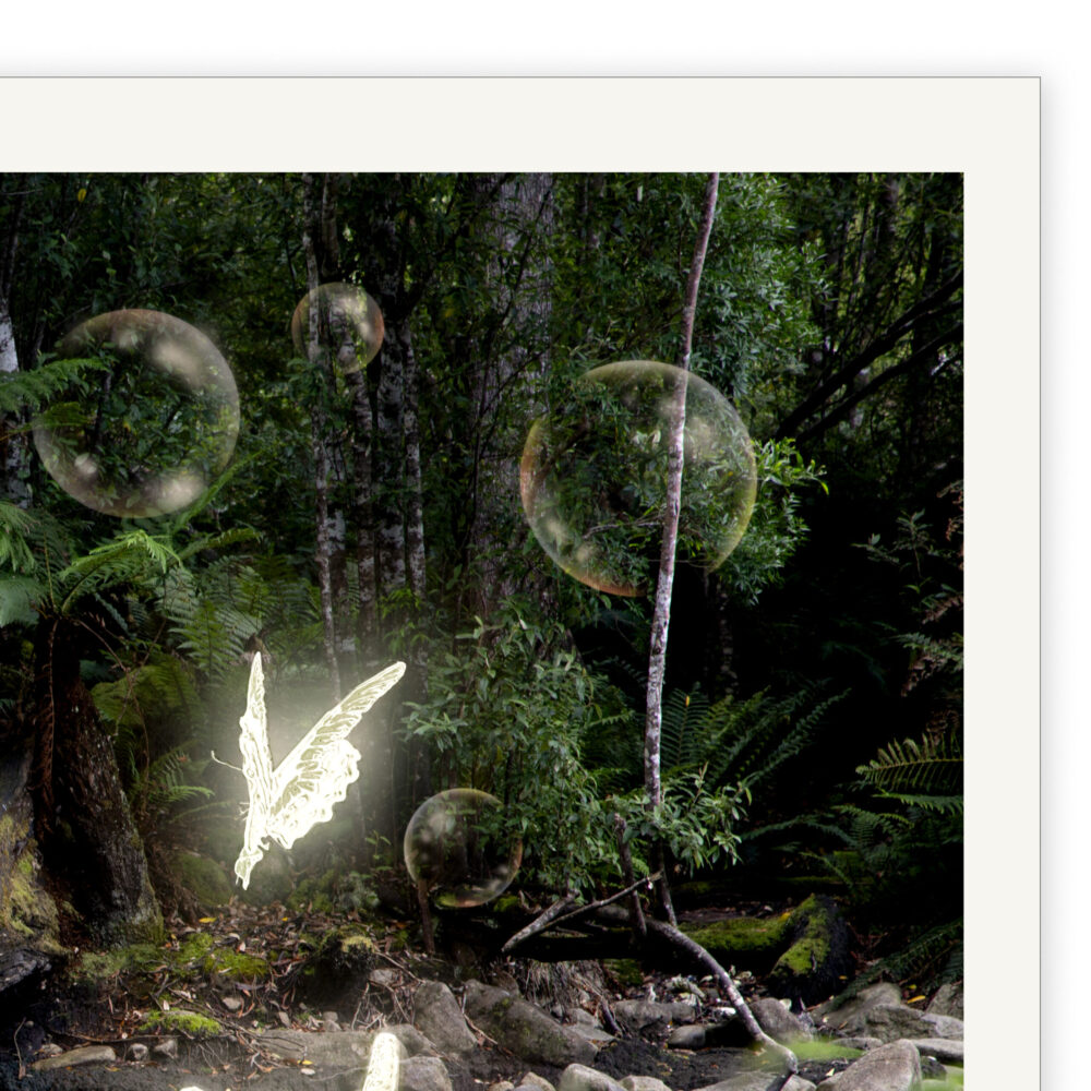 Butterfly Forest by Emma Coombes. Tasmanian Mythic Nature art. Golden butterflies chase floating bubbles through the enchanted forest.