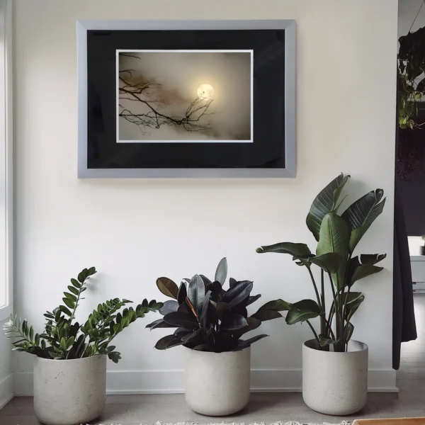 Image of Eagle Moon in silver frame limited edition large print hanging on wall in designer house with houseplants.Eagle silhouette blood moon