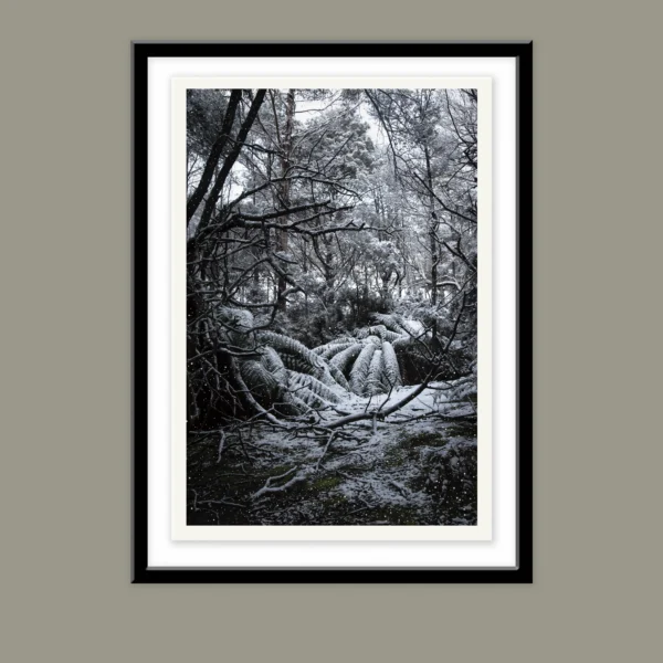 Silence by Emma Coombes at the Elm and the Raven. Limited edition Tasmanian Mythic photography print. An enchanted snowy portal.