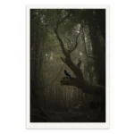 The Herald by Emma Coombes at the Elm and the Raven. Limited edition fine art Tasmanian Mythic photography print