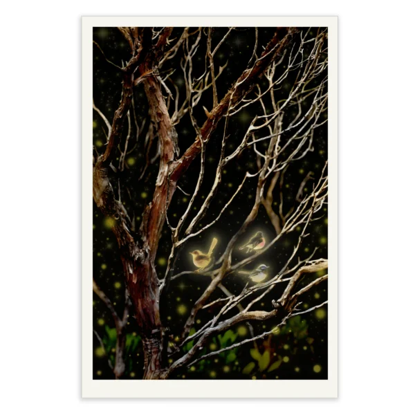 Three Little Birds by Emma Coombes at the Elm and the Raven. Limited edition Tasmanian Mythic photography print.