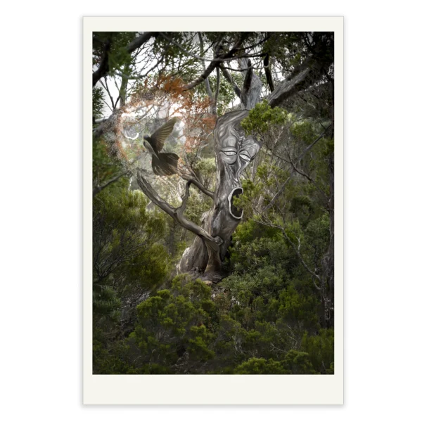 Tree Wizard by Emma Coombes at the Elm and the Raven. Limited edition Tasmanian Mythic photography print