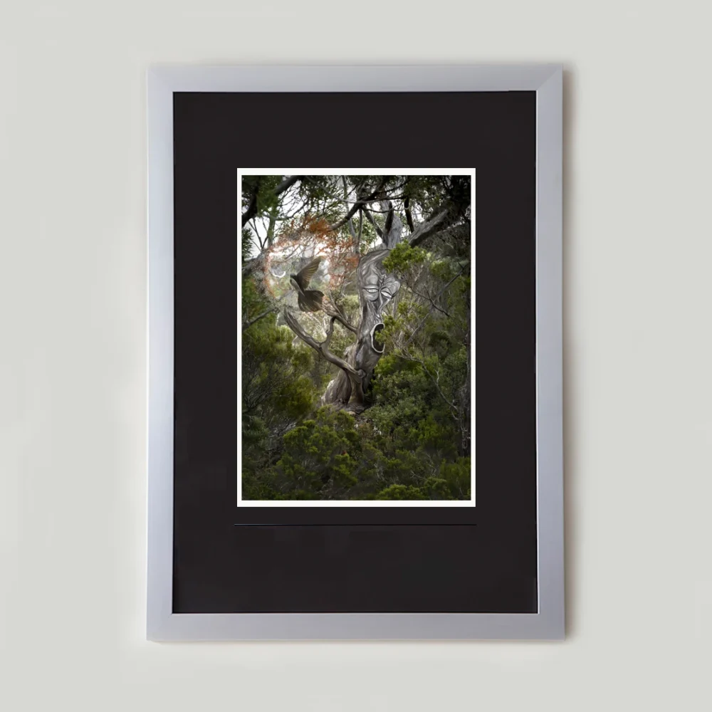 Tree Wizard by Emma Coombes at the Elm and the Raven. Limited edition Tasmanian Mythic photography print