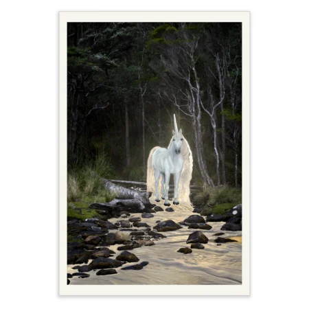 Water Horse by Emma Coombes at the Elm and the Raven. Limited edition Tasmanian Mythic photography print. A Unicorn at the edge of the forest.