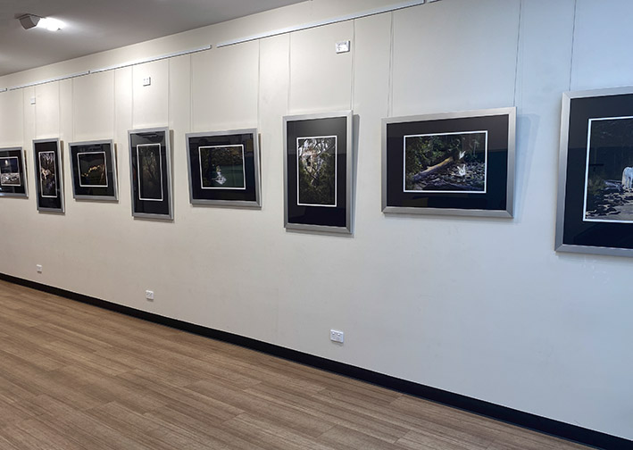 Framed prints on display at the Huon Valley Hub for the 2023 Deadwood exhibition