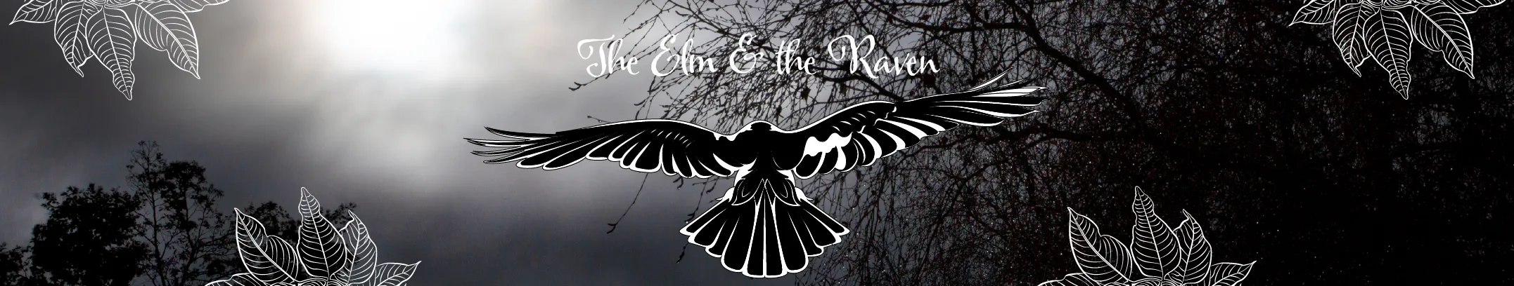 Elm & the Raven banner image
