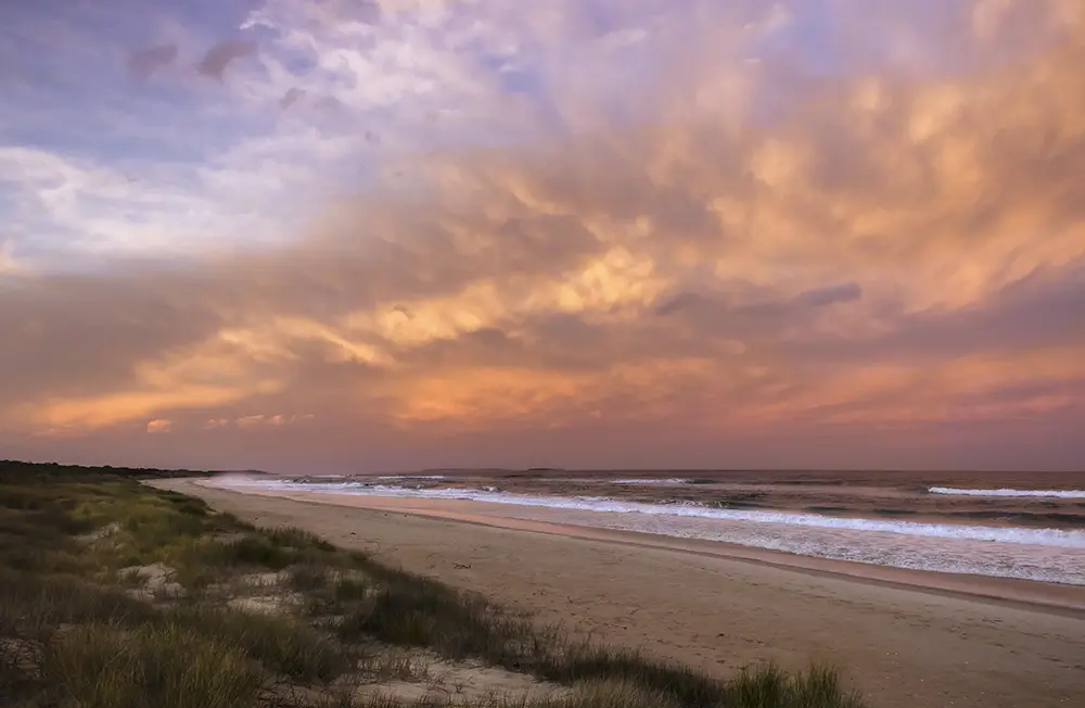 Image of limited edition Tasmanian Nature print, Sand Blaze