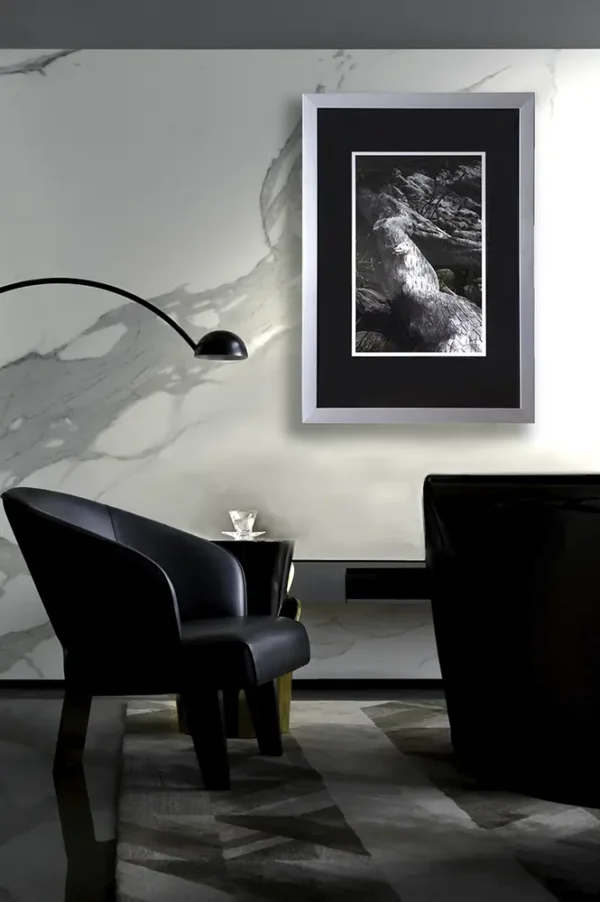 Elm and the Raven, Limited edition print Boa, hangs on wall in silver frame in designer home.