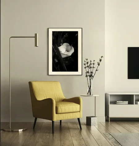 Death Lily limited Edition print in black frame in home