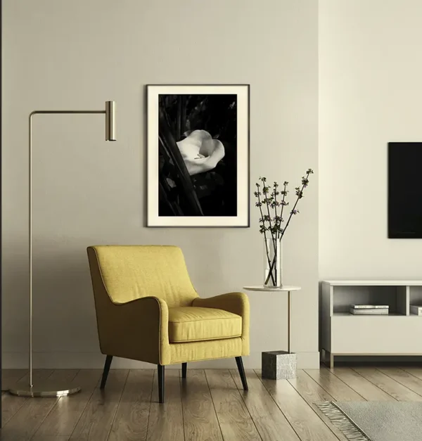 Death Lily limited Edition print in black frame in home