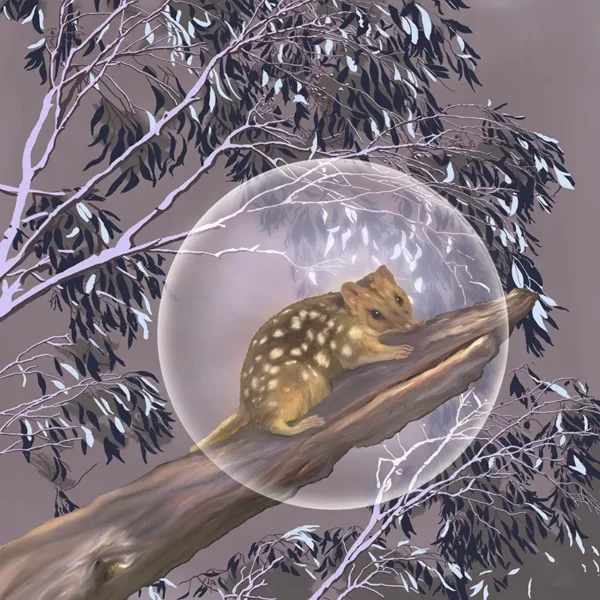 A quoll lies on a tree branch surrounded by leaves of a gum tree in lilac hues.
