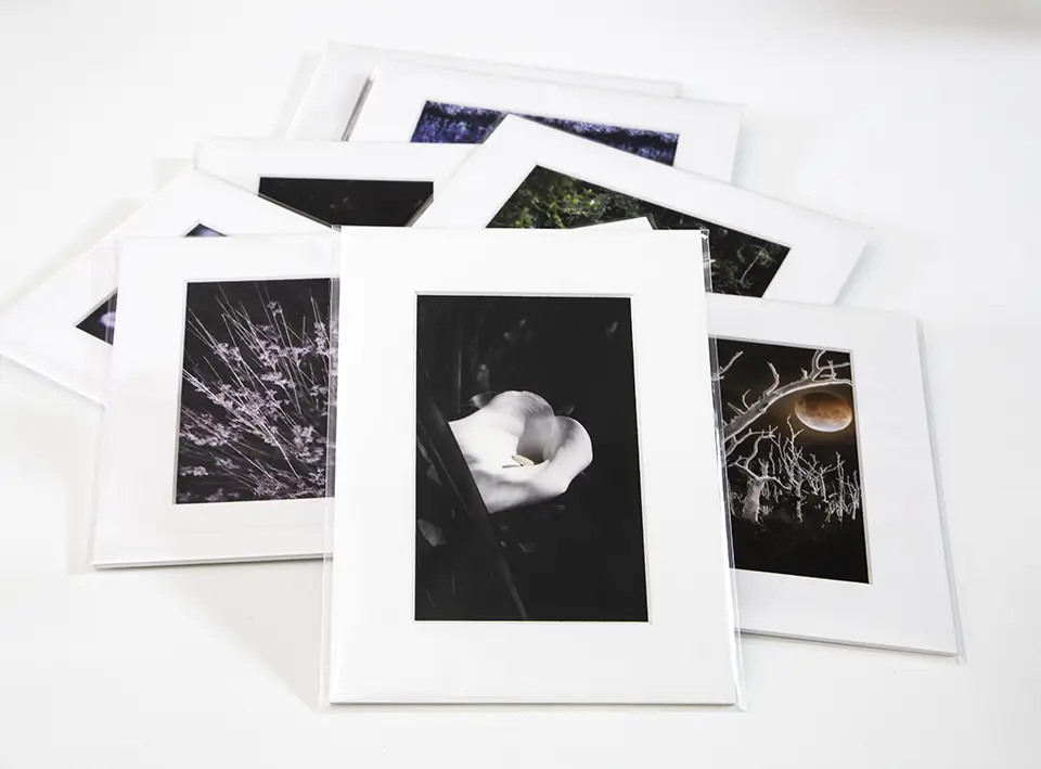 Image of Elm and the Raven mini print 'Death Lily' centred amongst other Elm and the Raven mini prints.