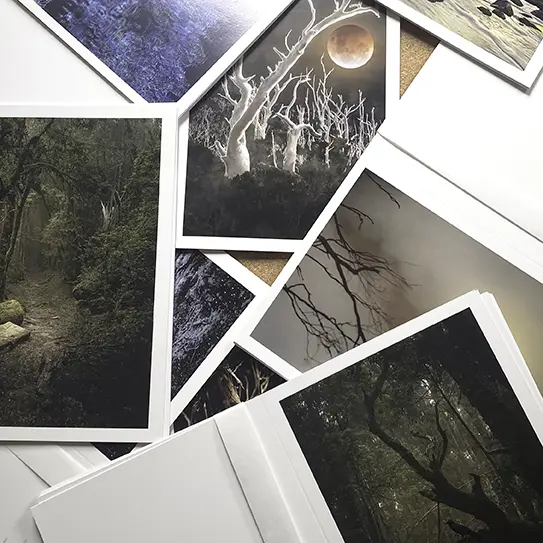 Gift Cards and Mini prints A5 Elm and the Raven large collection