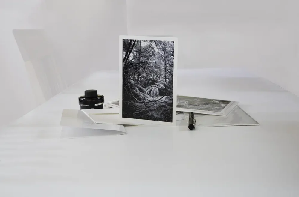 Image of Elm and the Raven A5 Card, Silence, a gentle scene of falling snow on ferns and branches