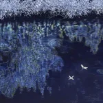 Summertime in Blue limited edition fine art print by Emma Coombes at the Elm & the Raven