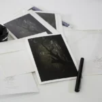 Shop A5 Gift Card of Elm & the Raven print The Herald