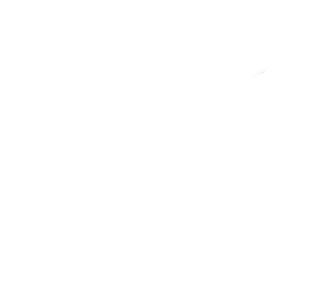 White Elm and the Raven Logo. Artist Emma Coombes, Tasmanian Mythic Nature Art