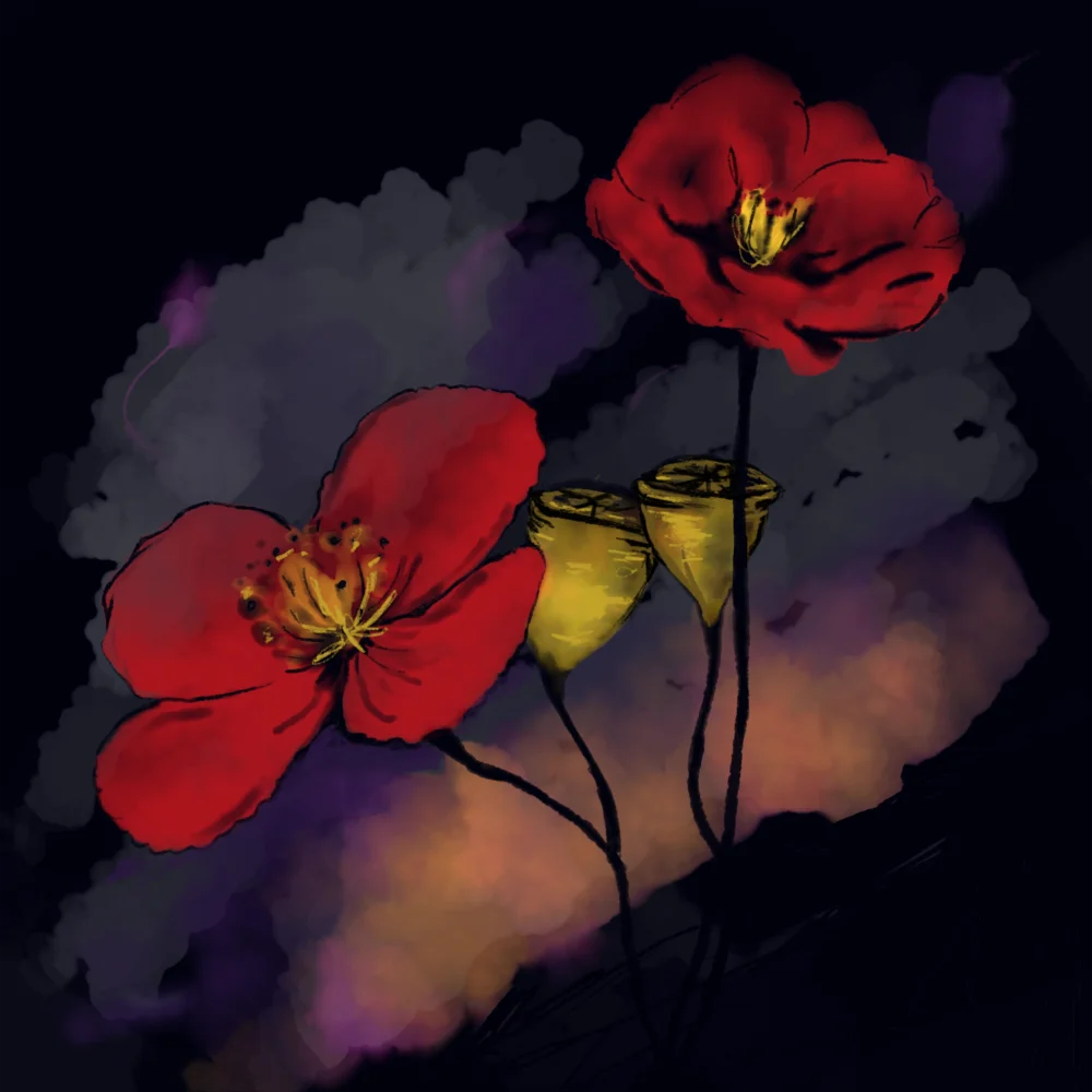 Poppy Pods in Mourning, Digital Illustration & Painting, Limited Edition by EMMA COOMBES at the Elm and the raven