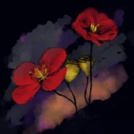 Poppy Pods in Mourning, Digital Illustration & Painting, Limited Edition by EMMA COOMBES at the Elm and the raven