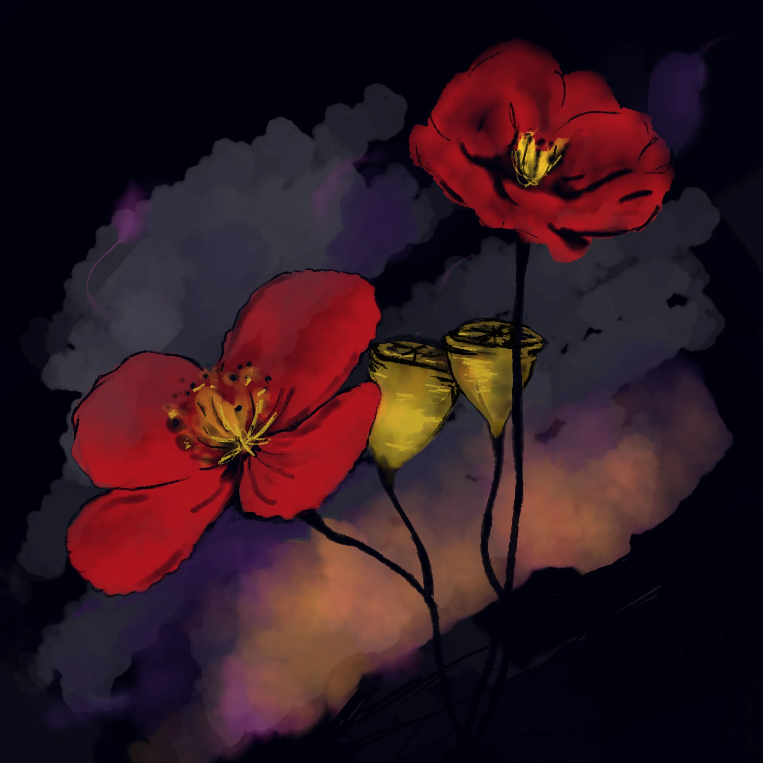 Poppy Pods in Mourning, Digital Illustration, Limited Edition by EMMA COOMBES at the Elm and the raven