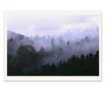 Rising Fog Limited Edition Photography print by Emma Coombes at the Elm and the Raven.