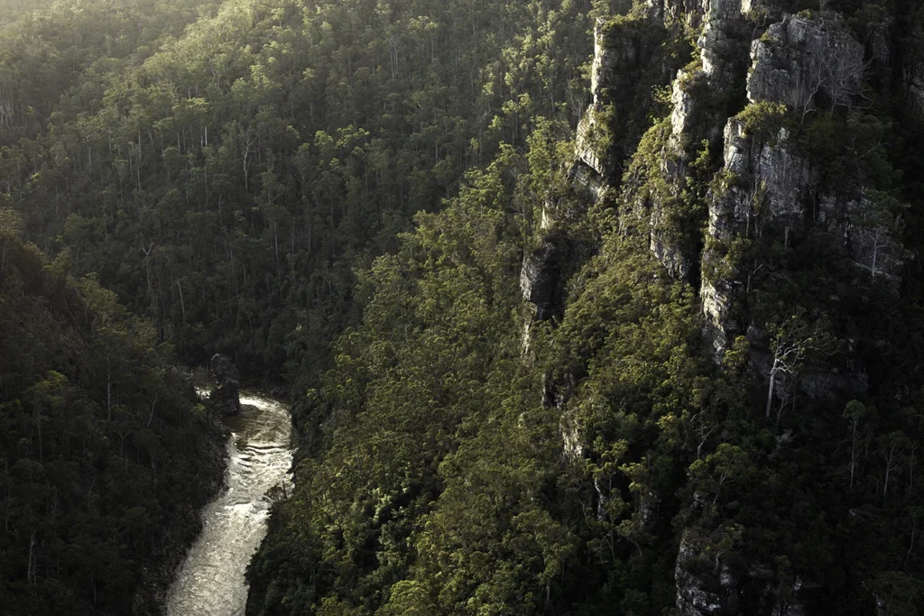 Alum Cliffs Lookout near Mole Creek in Tasmania's north west. Photography by Emma Coombes at the Elm & the Raven