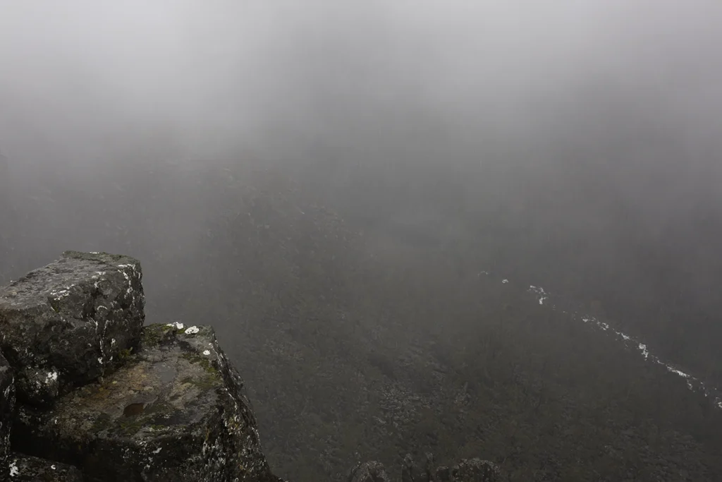 A foggy day at the Devils Gullet in Tasmania's North. Photography by Emma Coombes at the Elm & the Raven