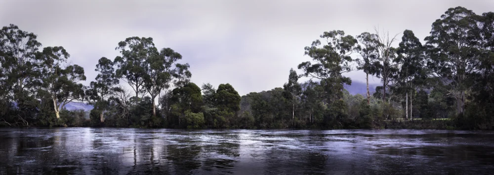 Huon River in the Early Morning Nature photography by Emma Coombes at the Elm & the Raven