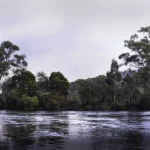 Huon River in the Early Morning Nature photography by Emma Coombes at the Elm & the Raven