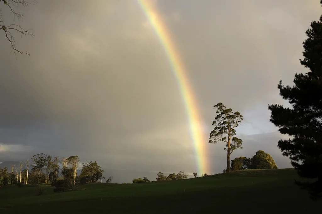 Rainbow illuminates gum tree and green paddocks of Mole Creek. Photography by Emma Coombes at the Elm & the Raven