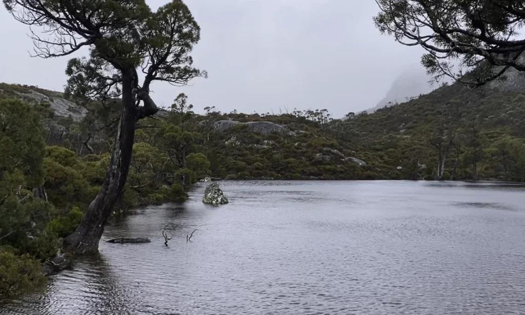 Wombat Pool at Cradle Mountain in Tasmania's north west. Photography by Emma Coombes at the Elm & the Raven