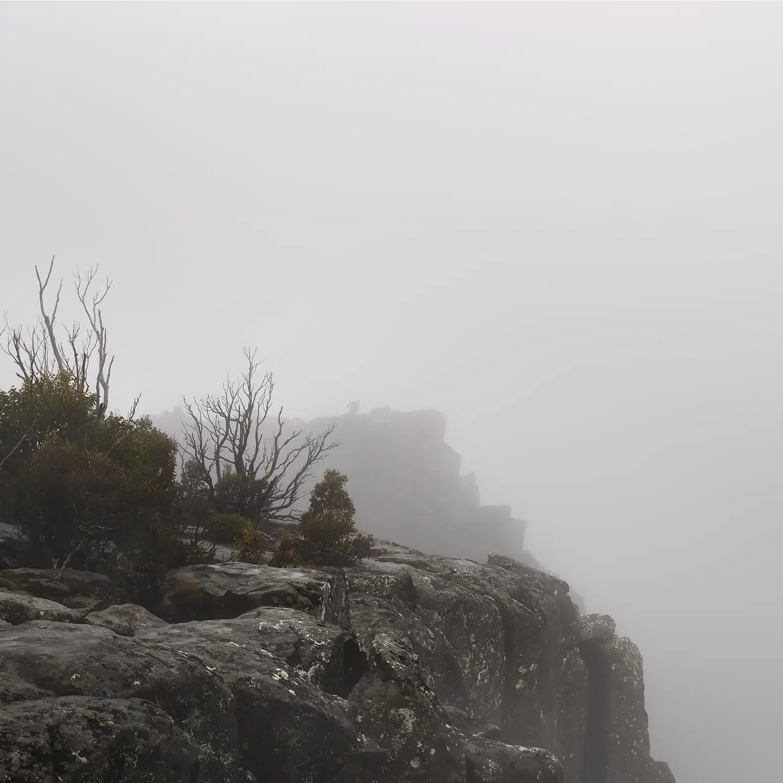 'The Devils Rock' Limited edition Tasmanian nature mythic photography from the Untamed Tasmanian Cradle Mountain collection from artist Emma Coombes at the Elm and the Raven.