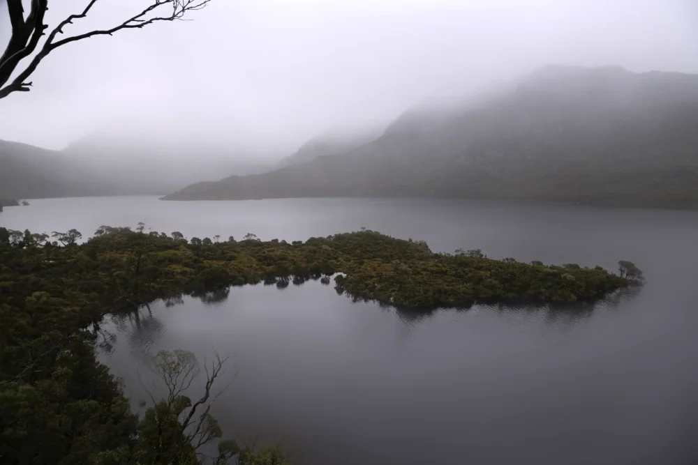 'Wings of a Dove' Limited Edition by Emma Coombes at the Elm & the Raven -part of the Untamed Tasmania exhibition at Cradle Mountain