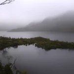 'Wings of a Dove' Limited Edition by Emma Coombes at the Elm & the Raven -part of the Untamed Tasmania exhibition at Cradle Mountain