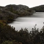 'Wreath' Limited Edition by Emma Coombes at the Elm & the Raven -part of the Untamed Tasmania exhibition at Cradle Mountain