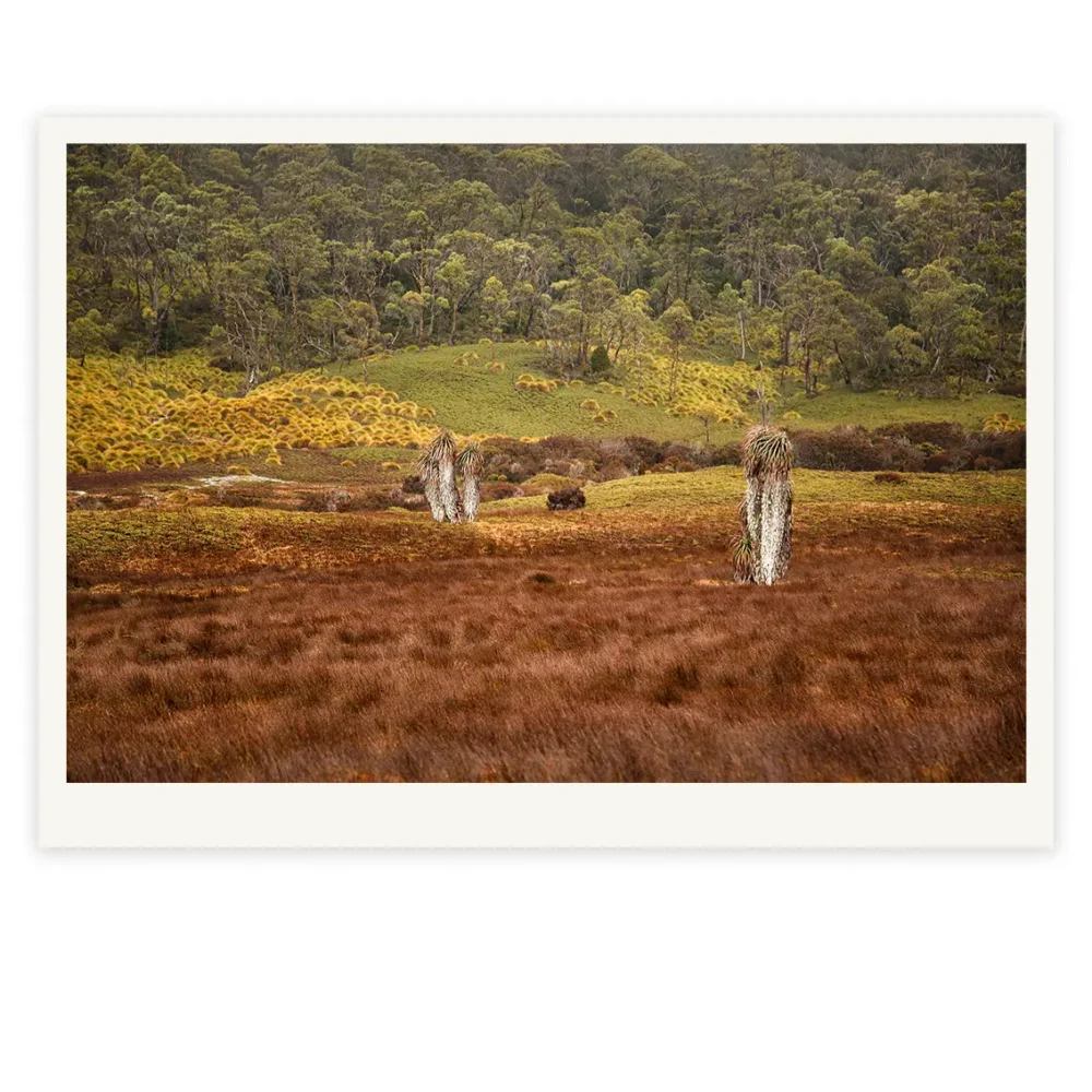 '10 Paces' Limited Edition by Emma Coombes at the Elm & the Raven -part of the Untamed Tasmania exhibition at Cradle Mountain