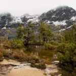 The Artists' Pool, Limited Edition by Emma Coombes at the Elm & the Raven -part of the Untamed Tasmania exhibition at Cradle Mountain Wilderness Gallery