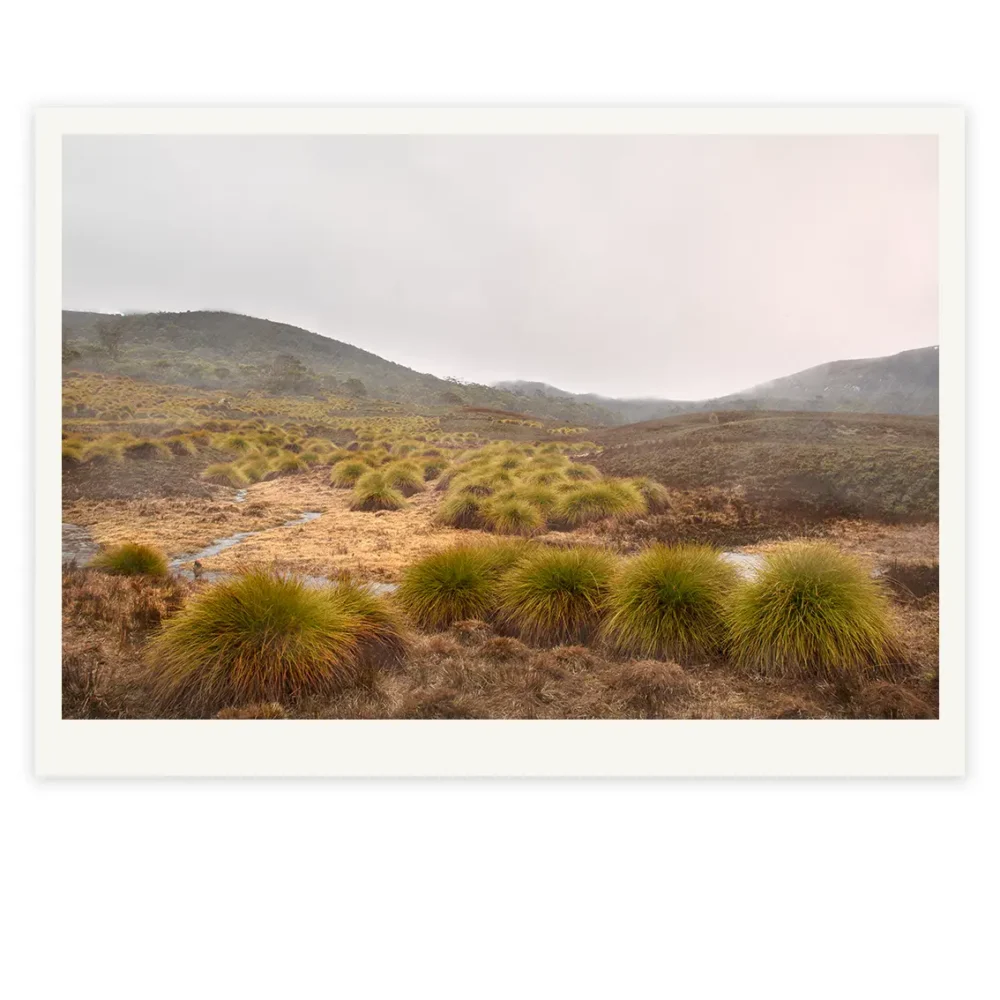 Buttons, Limited Edition by Emma Coombes at the Elm & the Raven -part of the Untamed Tasmania exhibition at Cradle Mountain Wilderness Gallery