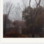 Fogs' Watch, Limited Edition by Emma Coombes at the Elm & the Raven -part of the Untamed Tasmania exhibition at Cradle Mountain Wilderness Gallery