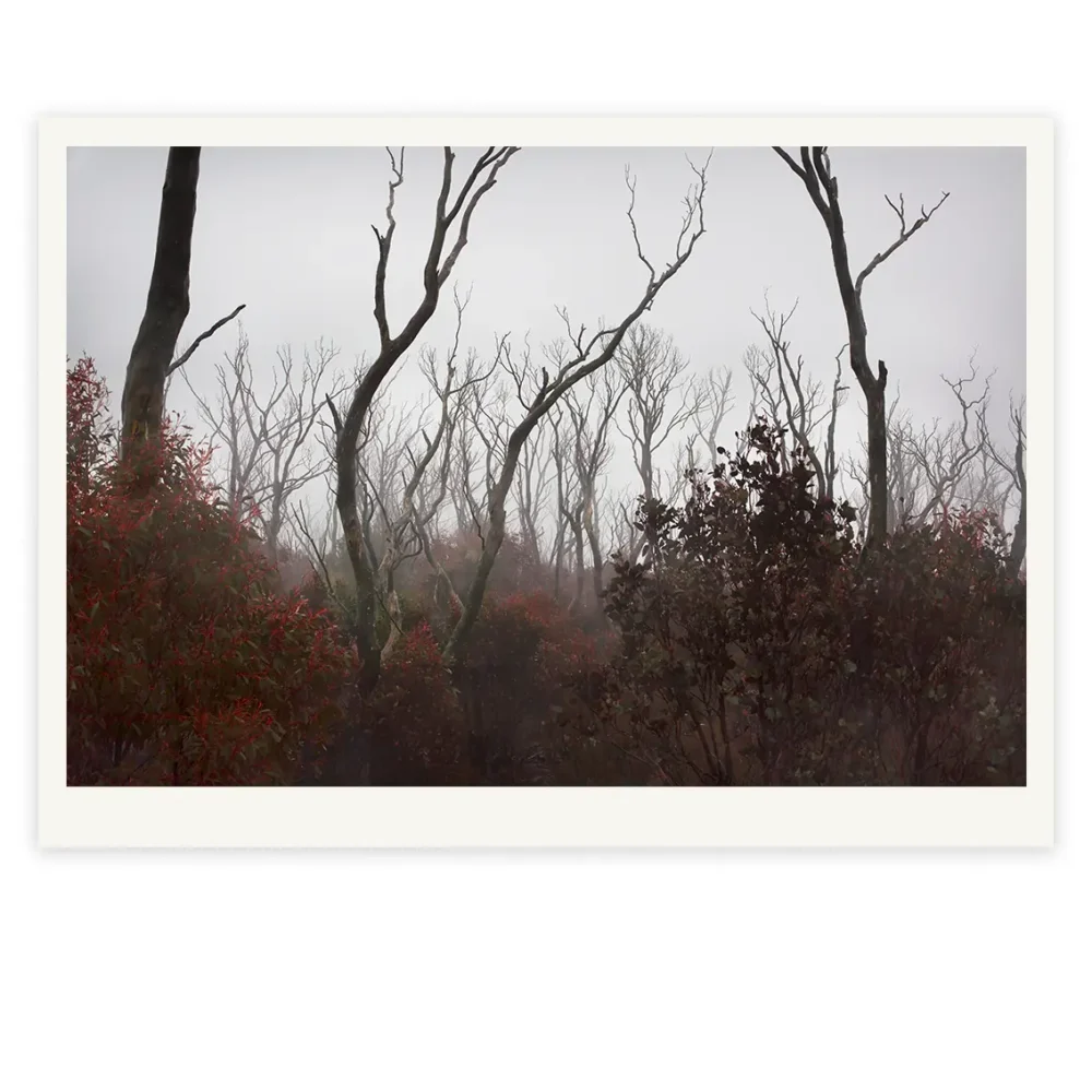 'Into the fog... Into the Fire', Limited Edition by Emma Coombes at the Elm & the Raven -part of the Untamed Tasmania exhibition at Cradle Mountain Wilderness Gallery