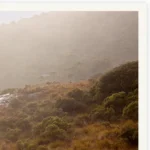 'Lion Mane Rock' Limited Edition by Emma Coombes at the Elm & the Raven -part of the Untamed Tasmania exhibition at Cradle Mountain