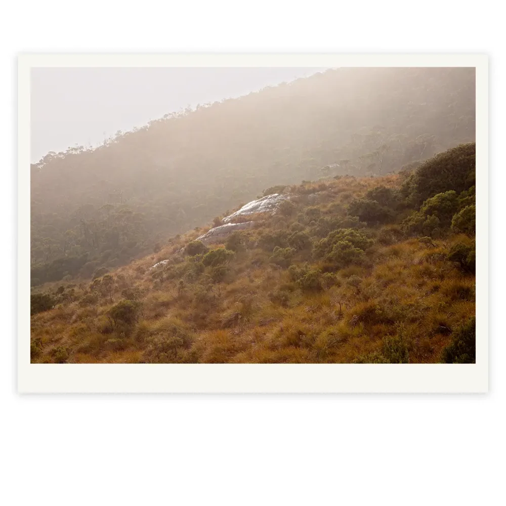 'Lion Mane Rock' Limited Edition by Emma Coombes at the Elm & the Raven -part of the Untamed Tasmania exhibition at Cradle Mountain