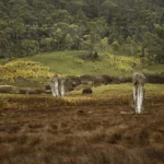 '10 Paces' Limited Edition by Emma Coombes at the Elm & the Raven -part of the Untamed Tasmania exhibition at Cradle Mountain