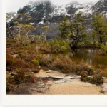 The Artists' Pool, Limited Edition by Emma Coombes at the Elm & the Raven -part of the Untamed Tasmania exhibition at Cradle Mountain Wilderness Gallery