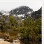 The Artists' Pool, Limited Edition by Emma Coombes at the Elm & the Raven -part of the Untamed Tasmania exhibition at Cradle Mountain Wilderness Gallery