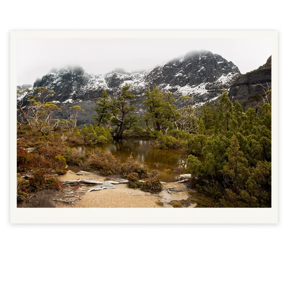 The Artists' Pool, Limited Edition by Emma Coombes at the Elm & the Raven -part of the Untamed Tasmania exhibition at Cradle Mountain Wilderness Gallery