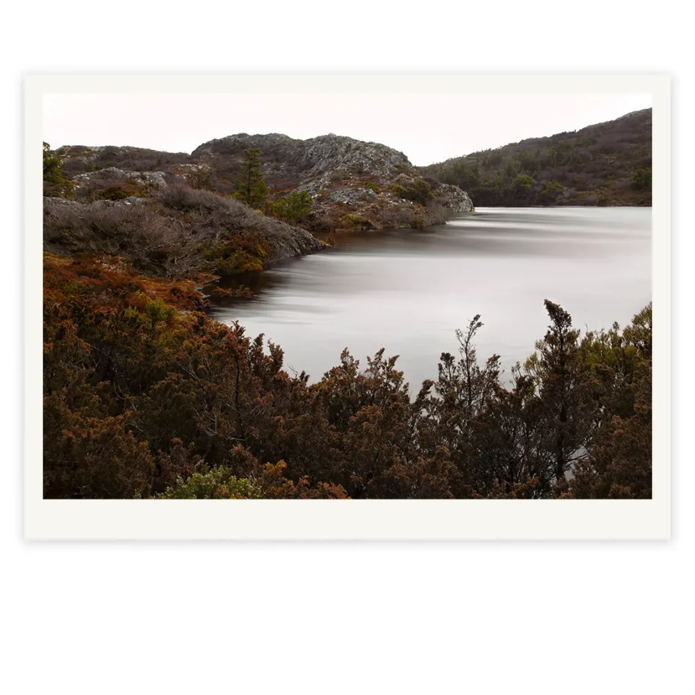 'Wreath' Limited Edition by Emma Coombes at the Elm & the Raven -part of the Untamed Tasmania exhibition at Cradle Mountain