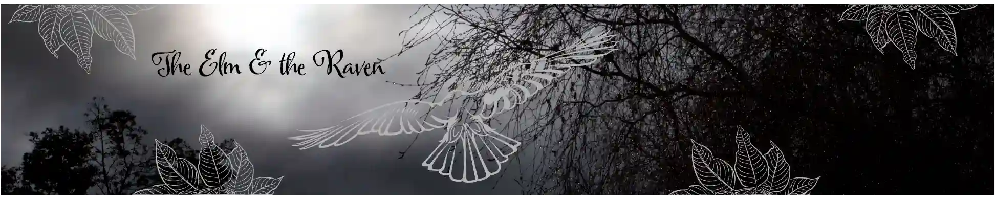The Elm & the Raven Tasmanian Artist and Photographer website banner