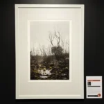 Emma Coombes Finalist in 2024 Henry Jones Art Prize