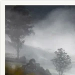 Dream limited edition fine art photography print of a misty valley landscape by Tasmanian Artist Emma Coombes at the Elm and the Raven